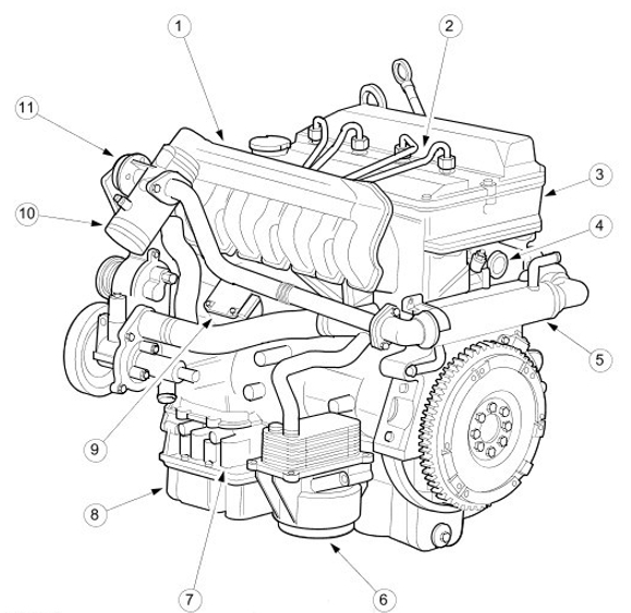 Engine Ford Duratorq 2.4  - Engine Ford Duratorq 2.4