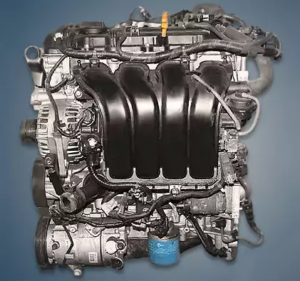 Engine Hyundai Kia G4NL 300x281 - Engine Hyundai-Kia G4NL