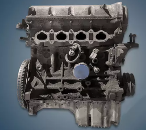 Engine Kia T8D 300x267 - Engine Kia T8D