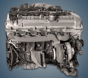 Engine Mercedes OM648 300x266 - Engine Mercedes OM648