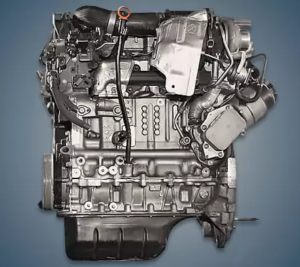 Engine Peugeot DV4C 300x267 - Engine Peugeot DV4C