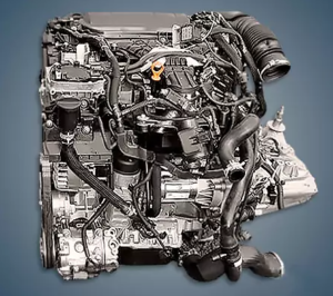 Engine Peugeot DW10DTED4 300x266 - Engine Peugeot DW10DTED4