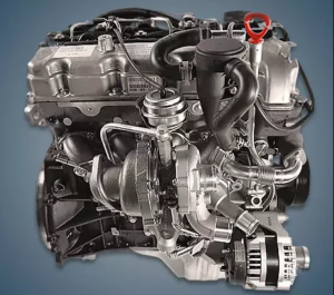 Engine SsangYong D20DT 300x265 - Engine SsangYong D20DT