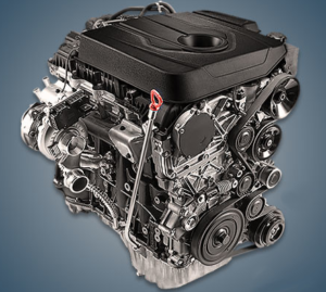 Engine SsangYong D22DTR 300x269 - Engine SsangYong D22DTR